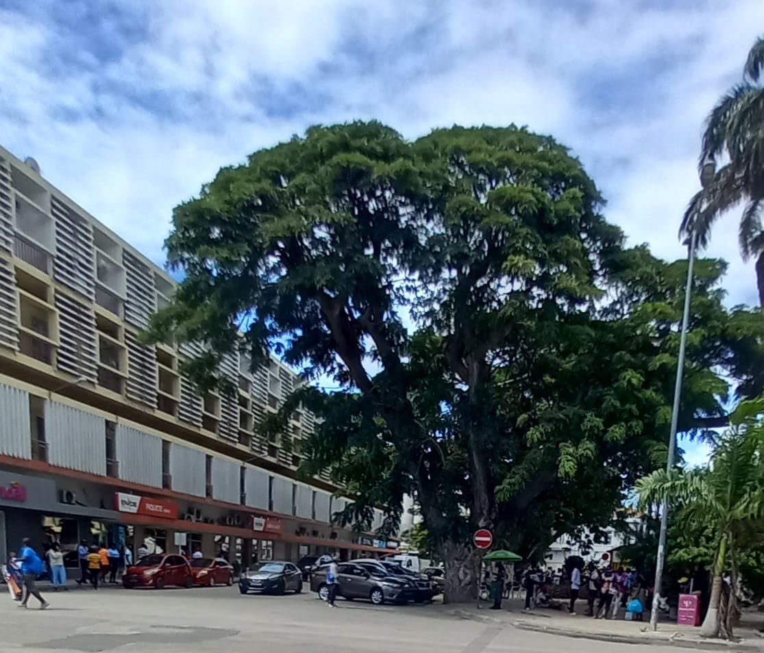 Normal Angolan Vida normal no Lobito – Tribuna de Angola